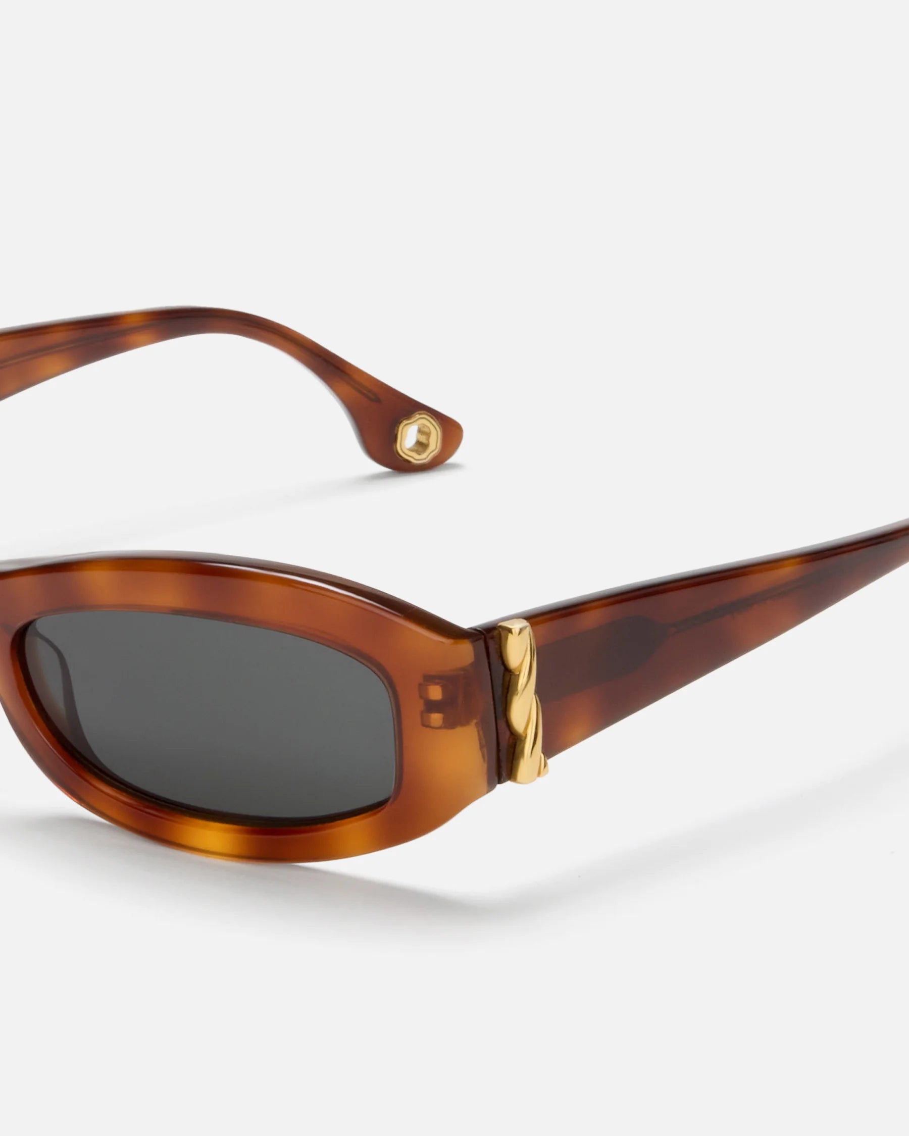 Aureum Collective Tortoise Como Sunglasses